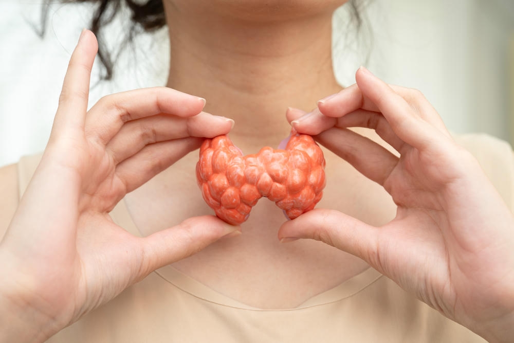 All About Your Thyroid